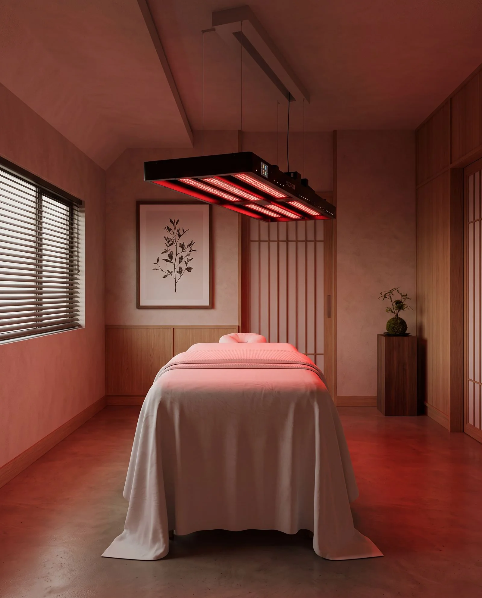 Interior of the Rohalya red light near-infrared studio
